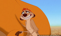 lk_screengrab_476.jpg