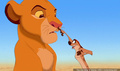 lk_screengrab_481.jpg