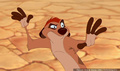 lk_screengrab_482.jpg
