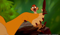 lk_screengrab_486.jpg