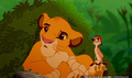 lk_screengrab_488.jpg