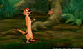lk_screengrab_503.jpg