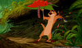 lk_screengrab_512.jpg