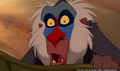 lk_screengrab_563.jpg