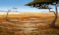 lk_screengrab_574.jpg
