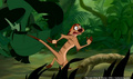 lk_screengrab_581.jpg