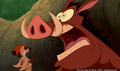 lk_screengrab_583.jpg