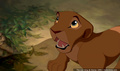 lk_screengrab_591.jpg