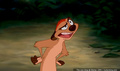 lk_screengrab_609.jpg