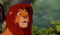 lk_screengrab_616.jpg