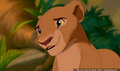 lk_screengrab_621.jpg
