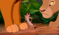 lk_screengrab_622.jpg