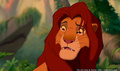 lk_screengrab_623.jpg