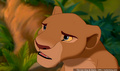 lk_screengrab_624.jpg