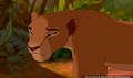 lk_screengrab_631.jpg