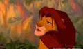 lk_screengrab_632.jpg