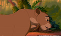 lk_screengrab_634.jpg