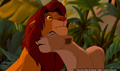 lk_screengrab_637.jpg