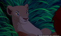 lk_screengrab_658.jpg
