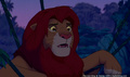 lk_screengrab_668.jpg