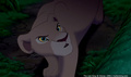 lk_screengrab_671.jpg