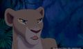 lk_screengrab_673.jpg