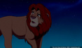 lk_screengrab_679.jpg