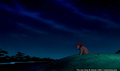 lk_screengrab_682.jpg