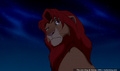 lk_screengrab_683.jpg