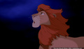 lk_screengrab_706.jpg