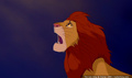 lk_screengrab_707.jpg