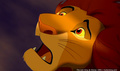 lk_screengrab_709.jpg