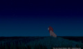 lk_screengrab_710.jpg