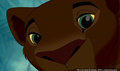 lk_screengrab_719.jpg