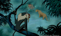 lk_screengrab_722.jpg