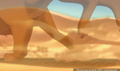 lk_screengrab_724.jpg