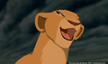 lk_screengrab_733.jpg