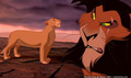 lk_screengrab_752.jpg