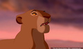 lk_screengrab_753.jpg
