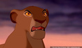 lk_screengrab_754.jpg