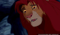 lk_screengrab_759.jpg