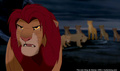 lk_screengrab_769.jpg