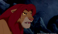 lk_screengrab_771.jpg