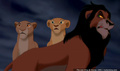 lk_screengrab_776.jpg