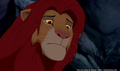 lk_screengrab_779.jpg