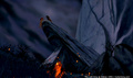 lk_screengrab_783.jpg