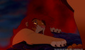 lk_screengrab_784.jpg