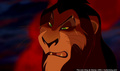 lk_screengrab_787.jpg
