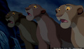 lk_screengrab_791.jpg