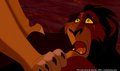 lk_screengrab_792.jpg